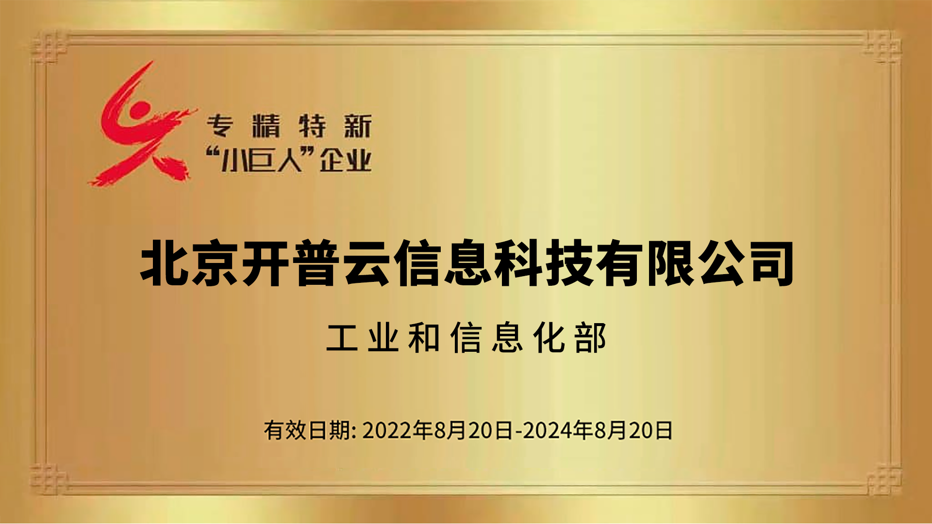 国家级专精特新小巨人企业